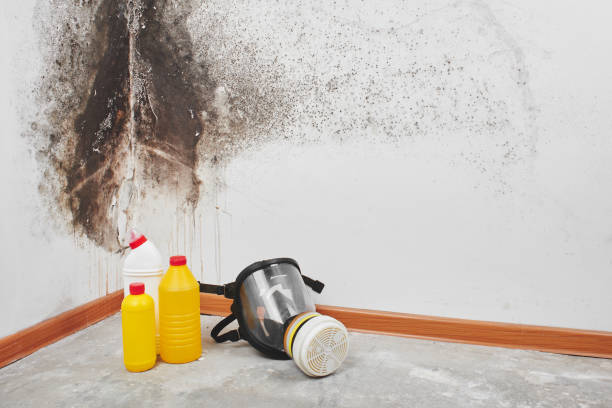 Best Crawl Space Mold Removal  in Corcoran, CA
