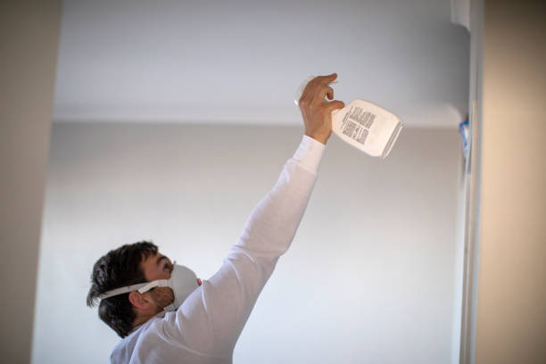 Best Home Mold Removal  in Corcoran, CA
