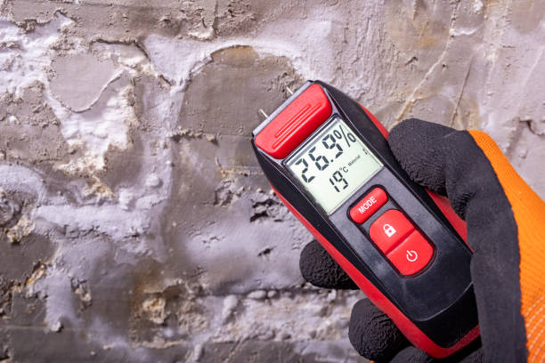 Best Mold Remediation  in Corcoran, CA