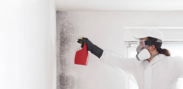 Best Professional Mold Removal  in Corcoran, CA