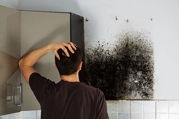 Best Affordable Mold Removal  in Corcoran, CA